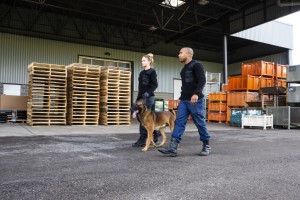 Sicherheitspatrouillen am Bahnhof mit Hund