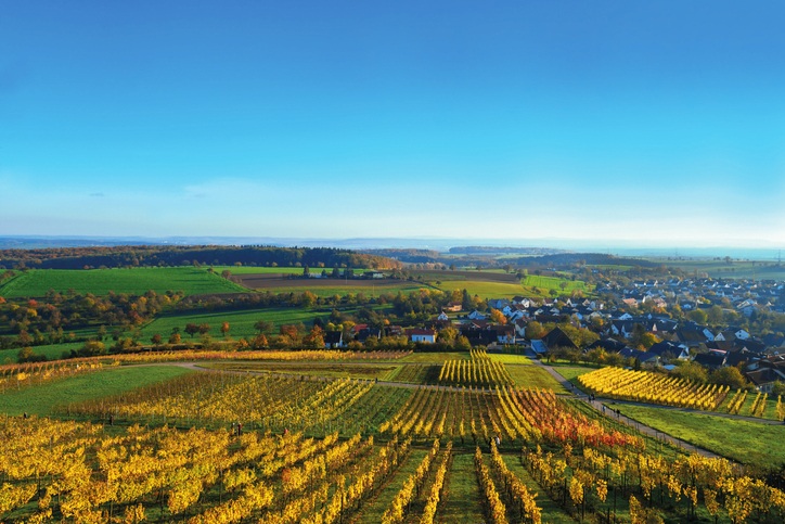 Sicherheitsdienst Sinsheim